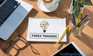 Manfaat Demo Account Bagi Seorang Trader