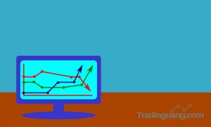 Kenapa Membeli Saham yang Sama Tapi Hasilnya Bisa Berbeda?