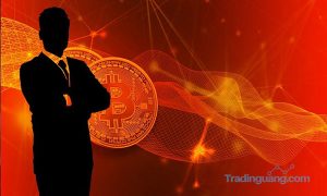 Pasar Babak Belur Akibat Corona, Trader Kripto Tetap Untung