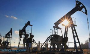 China Justru Borong Minyak Dunia Saat AS Tutup Keran Impor