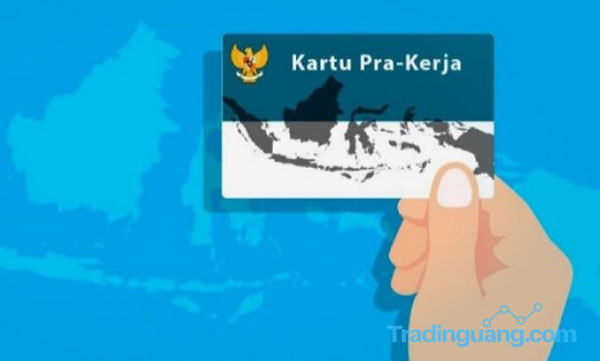 Corona Ditangani Dengan Kartu Pra Kerja, Ekonom Nilai "Salah Obat"