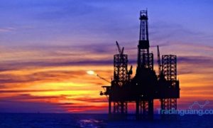 Harga Minyak Dunia Diprediksi Anjlok Hingga di Bawah US$ 0 per Barel