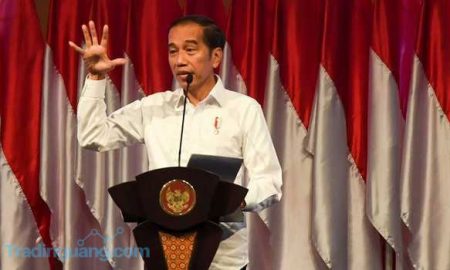 Jokowi Tetapkan Corona Sebagai Bencana Nasional, Apa Dampaknya?