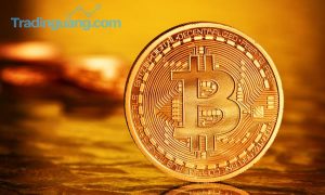 Investor Bitcoin Untung Rp 5,2 Juta Semalam!