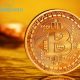 Investor Bitcoin Untung Rp 5,2 Juta Semalam!