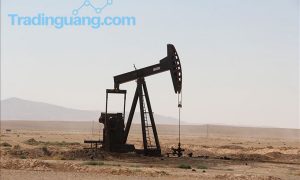 Bulan Depan, Arab Saudi Akan Naikkan Harga Jual Minyak?