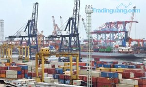 Indonesia Dihadapkan Pada 16 Tuduhan Permainan Dagang Oleh Mitra