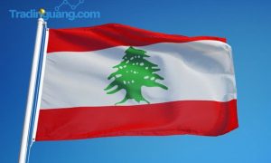Lebanon Demo Rusuh Akibat Mata Uang Melemah