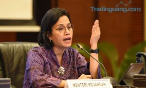 Pajaki Netflix Cs yang Sulut Murka Trump, Begini Penjelasan Sri Mulyani