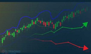 Strategi Trading Binary Option Zero Risk Untuk Meminimalisir Resiko