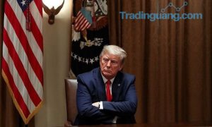 Trump Murka Soal Aplikasi Digital Dipajaki, Ancaman Perang Dagang Lagi?