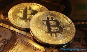 Emas Cetak Rekor US$ 1.800/oz, Bagaimana Kabar Bitcoin?