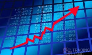Strategi Trading Profit Terus Mudah 100% Berhasil