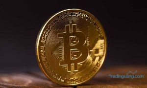 Wow, Dalam Semalam Trader Bitcoin Raup Untung Rp 7 Juta/Koin!