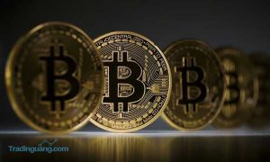 Di Akhir 2020 Bitcoin Tembus Rp 210 Juta?