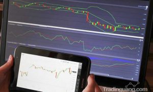 Gunakanlah Strategi Trading Forex Support and Resistance Agar Tepat Dalam Pengambilan Keputusan