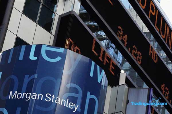 Morgan Stanley Sebut Beberapa Mata Uang yang Terbaik, Apa Saja?