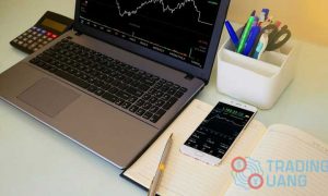 Strategi Trading Tanpa Loss, Profit Terus Menerus