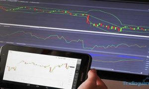 Yuk Ketahui Tips Mudah Cara Bermain Trading Forex Untuk Pemula