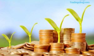 Deposito Tak Diurus Selama 32 Tahun, Uang Nasabah Rp 5,4 Miliar Hangus