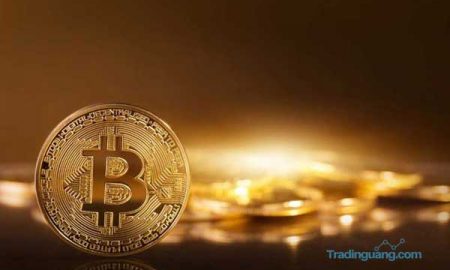 Harga Bitcoin Tembus Rp 239 Juta, Apa Sebab dan Prediksinya?