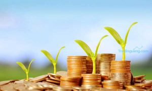 Jangan Lagi Takut Berinvestasi, Berikut Tips Main Saham Untuk Pemula