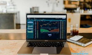 Apa Saja Kesalahan Paling Umum yang Sering Dilakukan Investor Pemula?