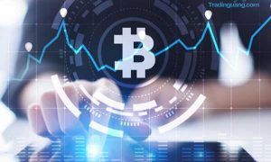 Akhir November Kemarin, Harga Bitcoin Tembus Rekor Sepanjang Masa. Apa Fakta-faktanya?