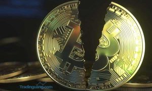Harga Bitcoin Terus Menguat, Mungkinkah Akan Anjlok Seperti 2018 Silam?
