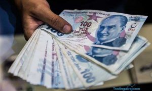 Turki Akan Uji Coba Uang Digital Lira Pada 2021