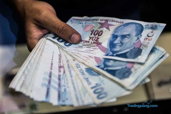 Turki Akan Uji Coba Uang Digital Lira Pada 2021