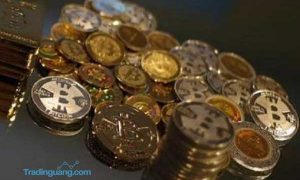 Tak Hanya Bitcoin, Mata Uang Digital yang Lain Juga Terkerek Naik