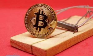 Meski Ethereum Sempat Naik Tinggi, Namun Bitcoin Tetap Buat Orang Tergila-gila