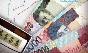 BI Akan Terbitkan Rupiah Digital