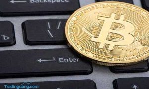 Bitcoin Diramal Akan Terus Naik, Bagaimana Faktanya?