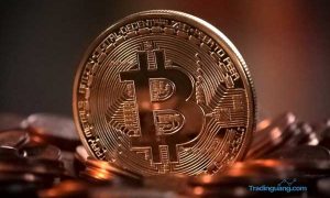 Harga Mata Uang Kripto Gila-gilaan, Bappeti Ingatkan Investor
