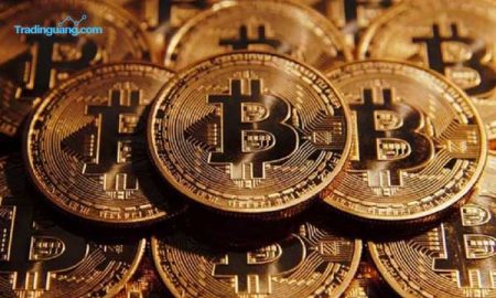 Kisah Viral Bitcoin Jadi Mahar Perkawinan