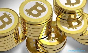 Tingkat Kriminalitas yang Menyerang Bitcoin Menurun
