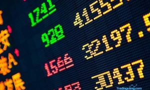 BEI Akan Hapus Kode Broker dan Tipe Investor