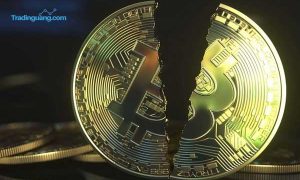 Bitcoin Disebut Gelembung Spekulatif