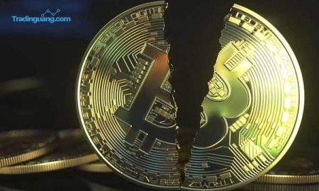 Bitcoin Disebut Gelembung Spekulatif