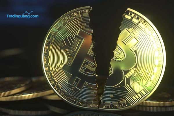 Bitcoin Disebut Gelembung Spekulatif