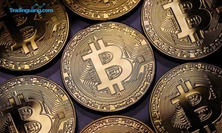 India Berencana Larang Bitcoin, Pemilik dan Penambang Akan Didenda