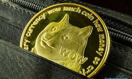 Ini Alasan Elon Musk Gila-gilaan Dukung Dogecoin