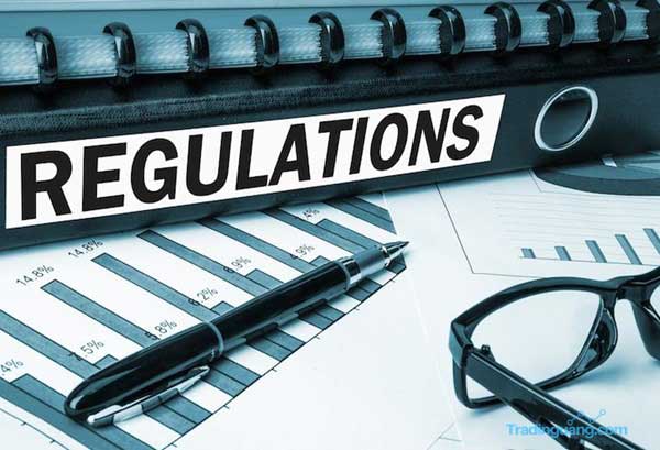 Pentingnya Regulasi Broker Forex Bagi Trader Pemula