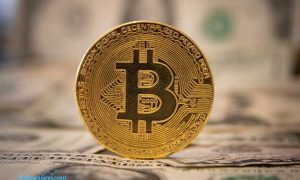 Miliki 1 Juta Bitcoin, Nilainya Nyaris Rp 700 Triliun, Siapa Dia?