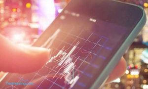 Mengenal Fitur Hedging dan Netting pada Trading Forex