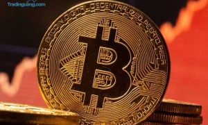 Semakin Perkasa, Bitcoin Diramal Tembus Rp 5,8 Miliar di Akhir 2021