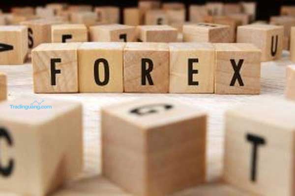 Apa Itu Broker ECN dalam Trading Forex?
