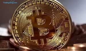 Bank Dunia Tolak Bantu El Salvador Soal Pemakaian Bitcoin
